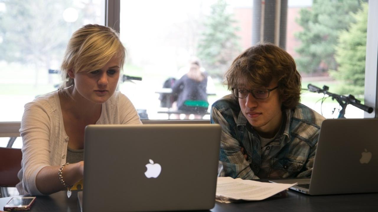 Two students working in the library